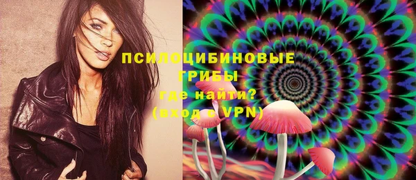 МДПВ Пестово