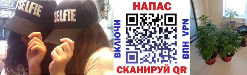 Марихуана Ganja  где купить   Почеп 